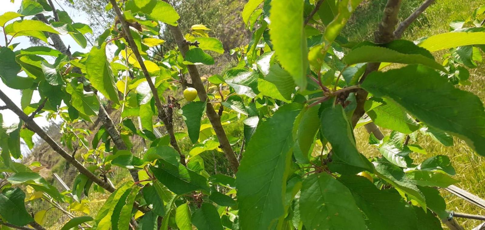 아르가닐 Quinta D' Luzarcoiris 빌라 외부 사진