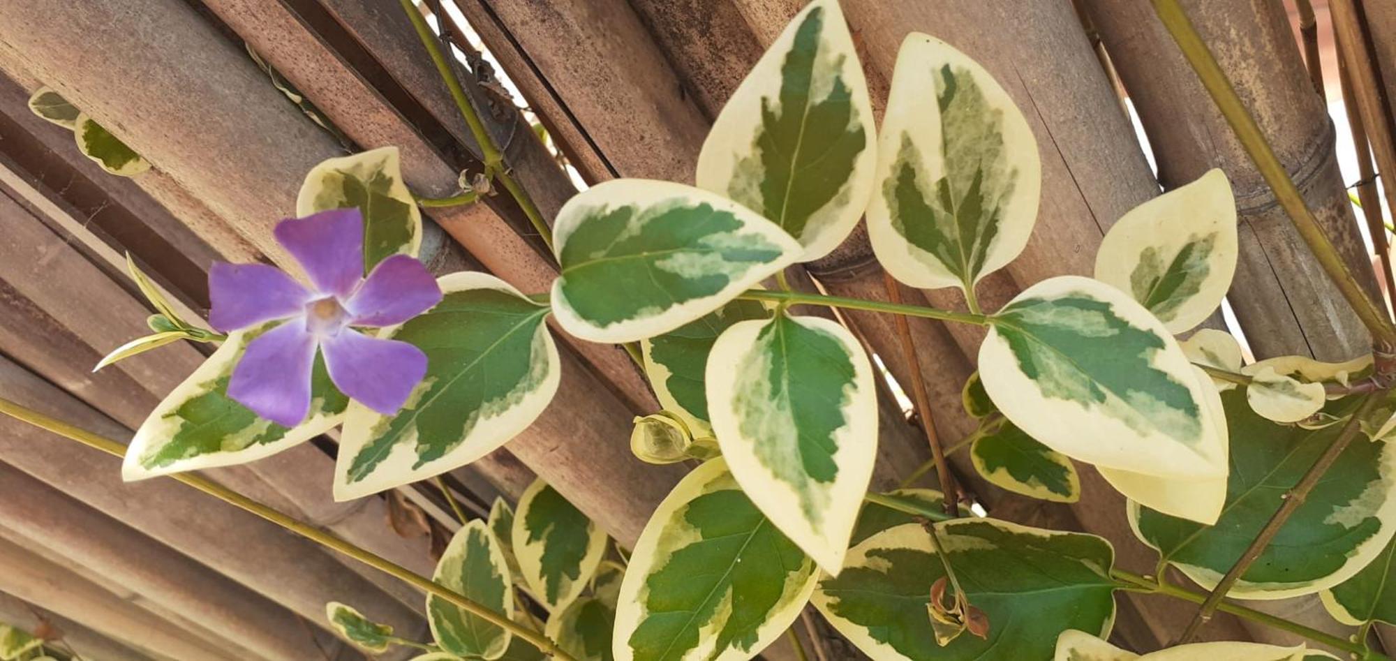 아르가닐 Quinta D' Luzarcoiris 빌라 외부 사진