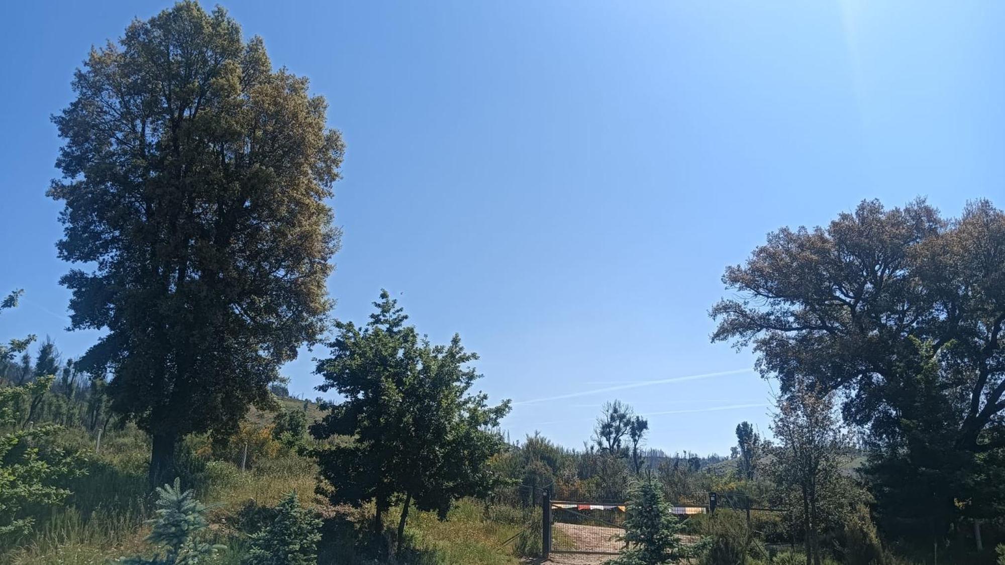 아르가닐 Quinta D' Luzarcoiris 빌라 외부 사진